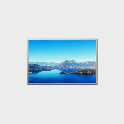 10.1 inch HDL-scherm 1280*800 LVDS 1000nits