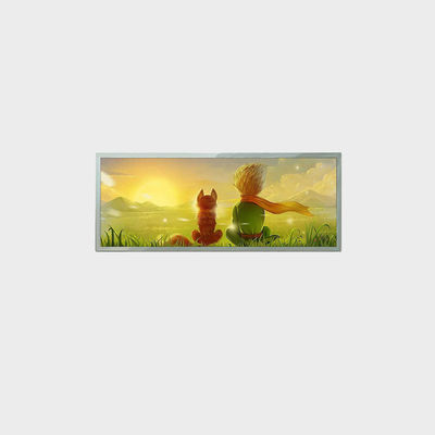 21,9 inch staaftype LCD-scherm 1920 * 712 LVDS 1000 nits