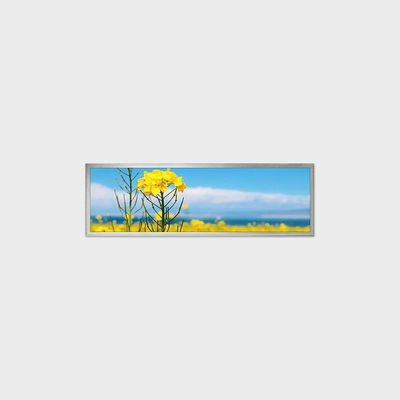 19,4-inch staaftype LCD-scherm 1920 * 510 LVDS 500 nits