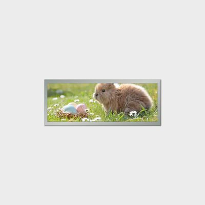 Bar Type 9 Inch LCD Display Screen 1280*448 LVDS 500nits Voor openbaar vervoer