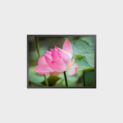 34.3 inch vierkant LCD-paneel 1856*1420 1500 Nits Display LCD module