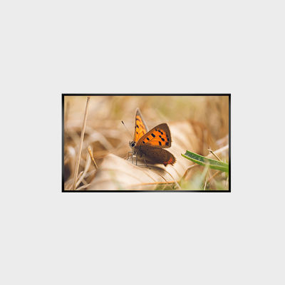 43 inch LCD-paneel 2000nits 1920*1080 LCMA-RX0430GL13-Z200