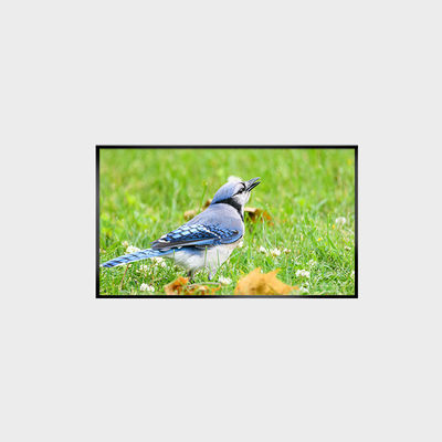 43-inch High Brightness LCD-scherm LCMA-RX0430GB07-Z250 met 1920*1080 resolutie en helderheid van 2500 nits