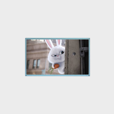 17.3 inch LCD-display Buitenpaneel Control Applicatie Ondersteuning Aanpassing LCMA-RX0173GA01-C080