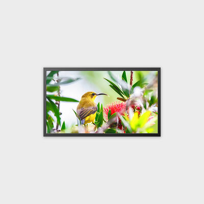 32 inch TFT LCD-reclamedisplay 4000nits oplossing met hoge helderheid