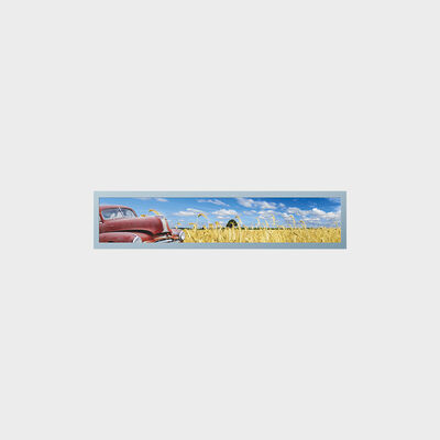 28 Inch Bar Type TFT Display Metro Transport Toepassing met maatwerk