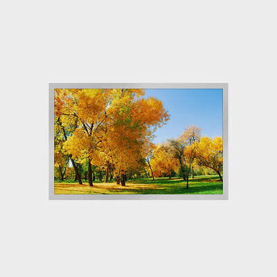 12,1 inch TFT LCD-scherm met 1280*800 resolutie 16:9 LVDS-interface 1500 nits