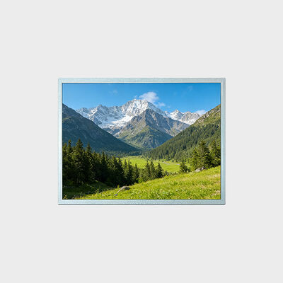 15 inch TFT LCD-scherm met 1024*768 resolutie Ondersteuning -30 ~ 80 ° C oplossing