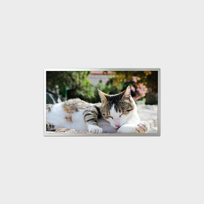 18,5 inch TFT LCD-scherm E-LED-type serieoplossing met 1200 nits helderheid