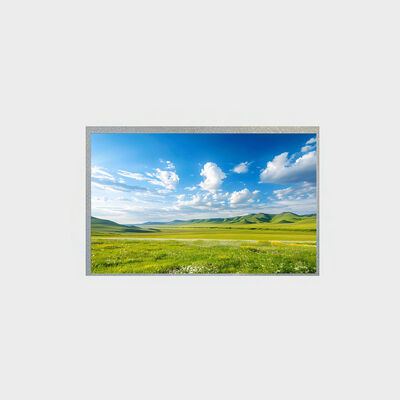 10,1 inch LCD-scherm met hoge contrastverhouding voor displays voor industriële apparatuur