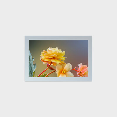 27 inch vierkant type TFT LCD met 1847 * 1154 resolutie snijoplossing