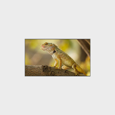 2000nits Hoge helderheid 3840*2160 98-inch LCD-scherm voor optimale prestaties