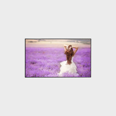 55 inch hoog helder LCD-scherm 3840*2160 V bij één 3000 Nits-scherm