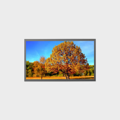 13.3 inch Hoge helderheid advertentie display 1920 x 1080 Bus advertentie display eDP 800nits