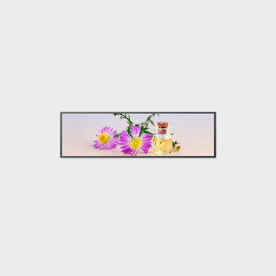 49.5 inch Bar Type LCD Display 3840*1080 V-by-One 250 nits