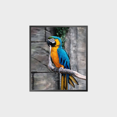 Hoogcontrast vierkant LCD-paneel 35,6 inch 950*1080 500nit Met Android-systeem