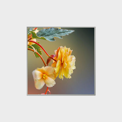 33.2 inch vierkant LCD-scherm 420nits LVDS-LCD-module voor winkelcentra