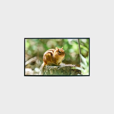 LCD-scherm 43 inch LCD-paneel 1500 nits resolutie 1920*1080 LCMA-RX0430GL10-C150