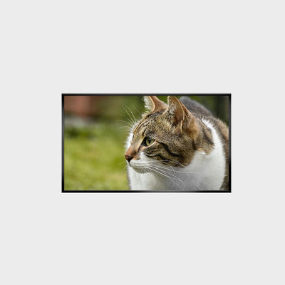 Industriële graad 43" LCD-scherm met een hoge helderheid van 1500 nits en een breed temperatuurbereik LCMA-RX0430GB02-C150
