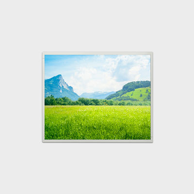 19 inch LCD-oplossing met resolutie 1280*1024 500 nits helderheid LCMA-RX0190GB01-C050