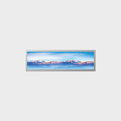 19,4 inch staaftype TFT LCD 1000nits helderheid met oplossing met laag stroomverbruik