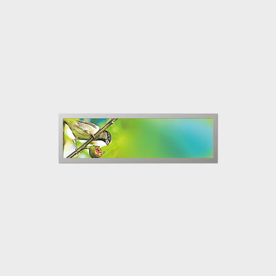 19,4 inch bartype TFT LCD-scherm met aanpassing aan de ondersteuning van een laag Ppower-verbruik