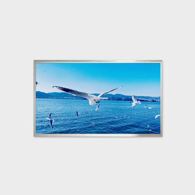 13,3 inch TFT LCD-oplossing 800nits helderheidsoplossing Brede temperatuurweergave