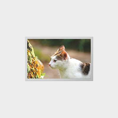 12,1 inch TFT-scherm met laag stroomverbruik LCD-scherm voor draagbare medische apparaten