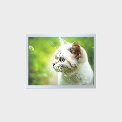 15 inch TFT-LCD met hoge helderheid en lange levensduur voor industriële instrumentenpanelen