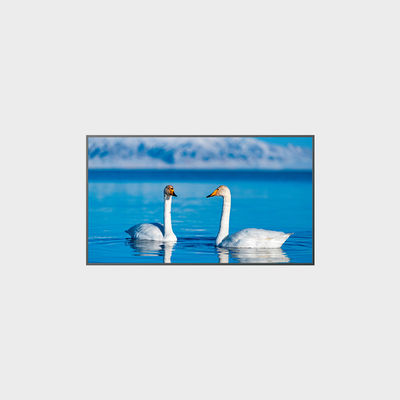 65 Inch Hoge Helderheid LCD Paneel 1920*1080 2000nits LCMA-RX0650GB08-Z200