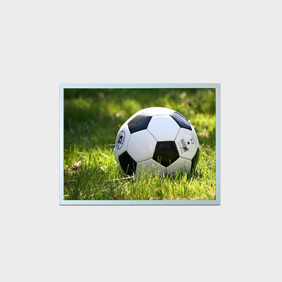 15 inch Industrial Brightness LCD Display With 2000:1 Contract Ratio Support Customized