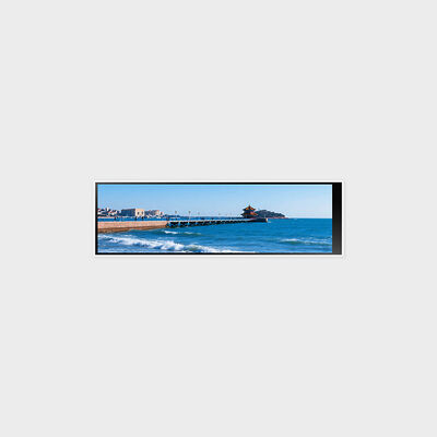 4,6 inch bar-type LCD-scherm met 320 * 960 ondersteuning 300 nits helderheid portretmodus
