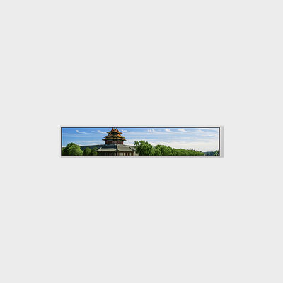 6,9 inch bar-type LCD met resolutie van 280 * 1424 Ondersteuning voor aanpassing van de helderheid