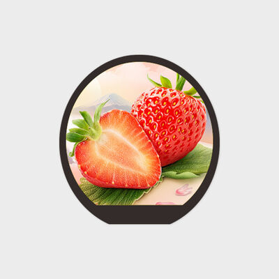 0,99 inch rond LCD-scherm met IPS-ondersteuning 350 nits helderheid voor smartwatch-toepassing
