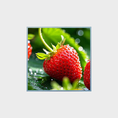 33,3 inch vierkante LCD-oplossing met 1:1 beeldverhouding ondersteuning reclameproject