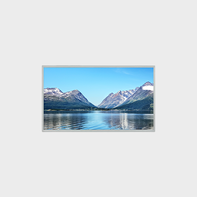 21.5 inch TFT LCD Display Direct verlichte achtergrondverlichtingsoplossing met 3000nits Support Parking System