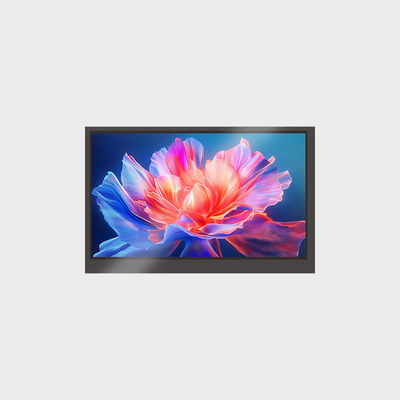 7,0 inch middelgroot en klein LCD-scherm 1024*600 RGB-scherm met aanraakscherm