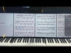 49,5 inch Bar Type LCD Display LCMA-RX0495TL01-C025 2500 Nits Helderheid Oplossing