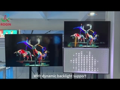 Rogin Lokale Dimming Technische ondersteuning Inleiding