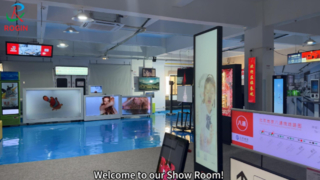 Rogin's Show Room-kleine en middelgrote Full-HD LCD-module